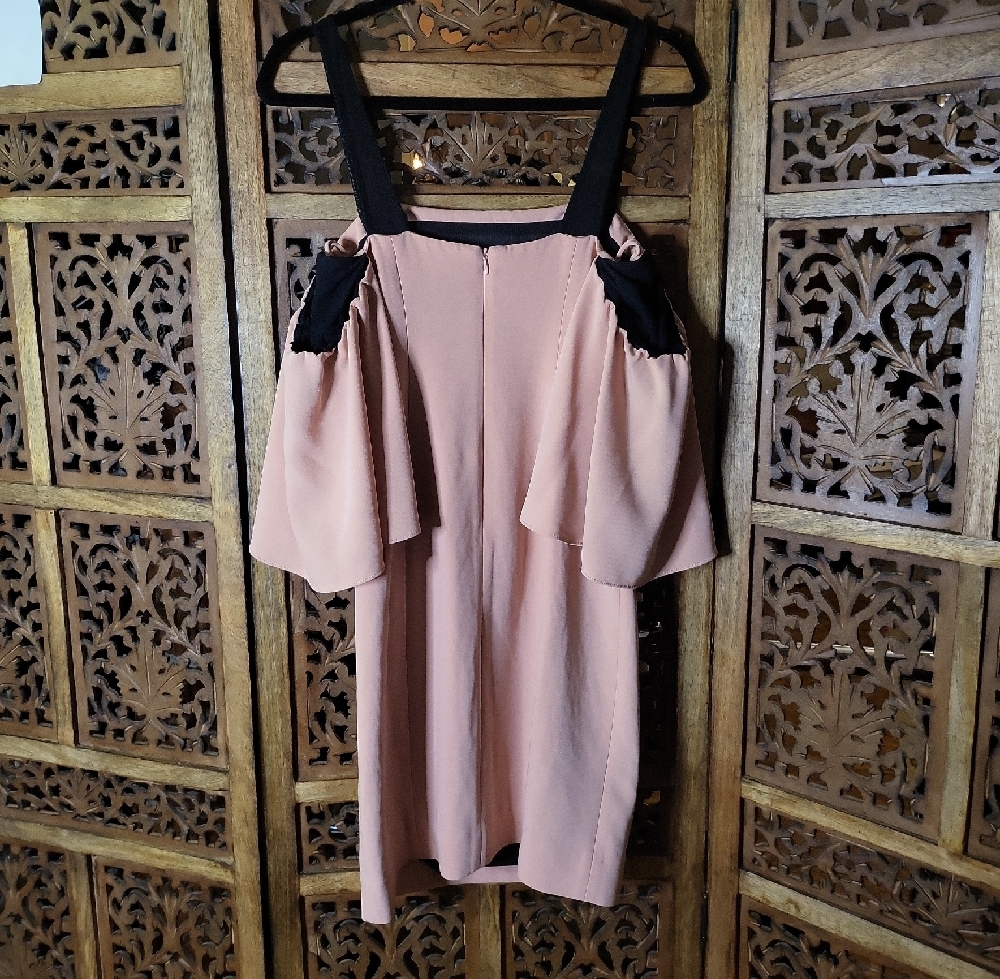 Cinq à Sept Designer Blush Pink Mini Dress Modern Feminine Size 2 - Picture 4 of 7